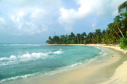 Le Belize, cocktail tropical