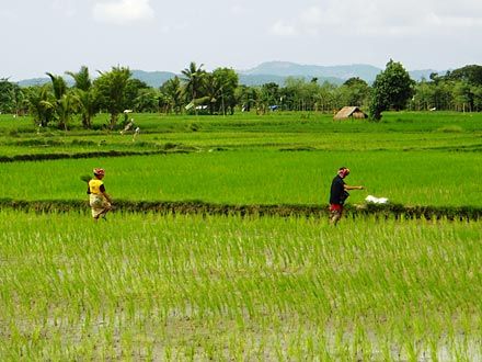 Lombok, la discrète