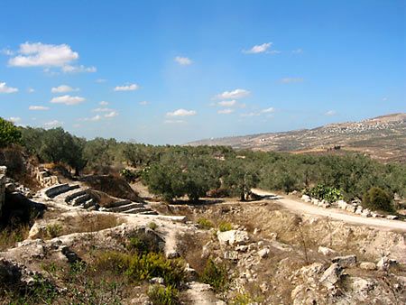 Bienvenue en Palestine
