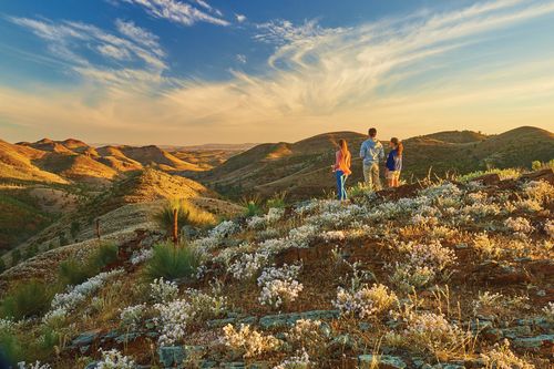 Yacca Lookout, Willow Springs Station, Australie du Sud