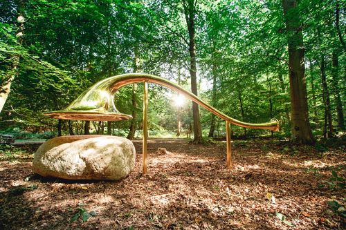 Forêt monumentale A piece of conversation