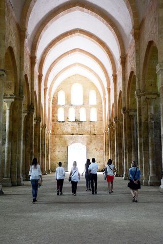 Côte d'or Abbaye de Fontenay