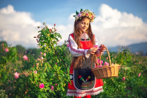 Vallée des roses de Kazanlak