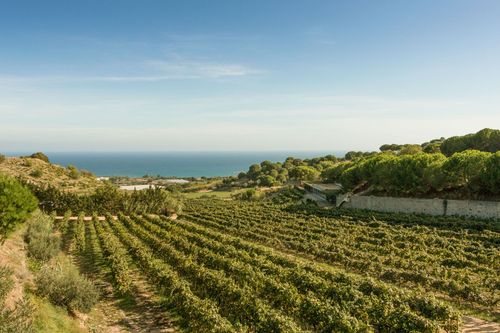 Province de Barcelone