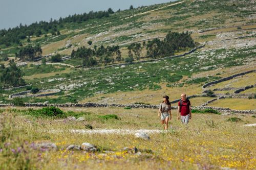 Randonner dans l'Alentejo, sur la Route Vicentine