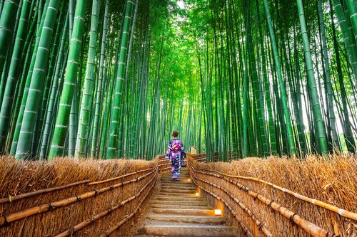 Arashiyama