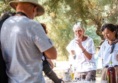 Dans le Minervois, au pays de l'huile d'olive