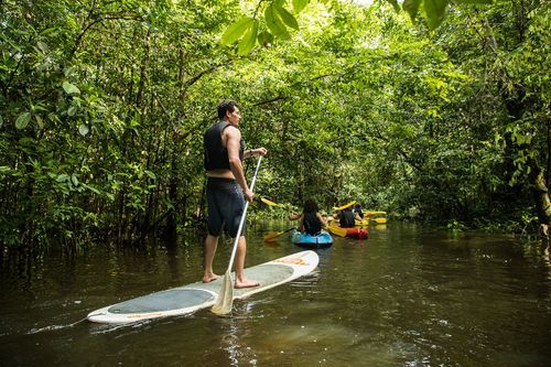 Balade en stand-up-paddle sur le fleuve Kourou