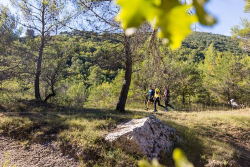 Pays d'Aubagne : explorer l'arrière-pays marseillais en rando, trail ou à vélo