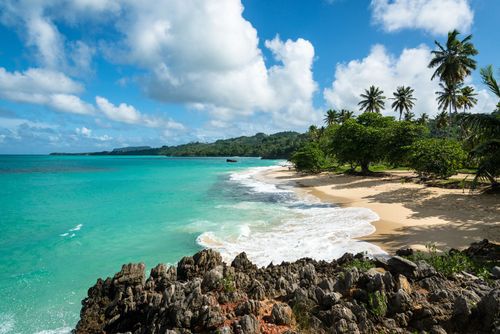 Baie Samana République Dominicaine Nature