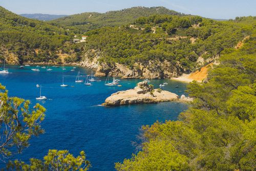 Bandol Bandol