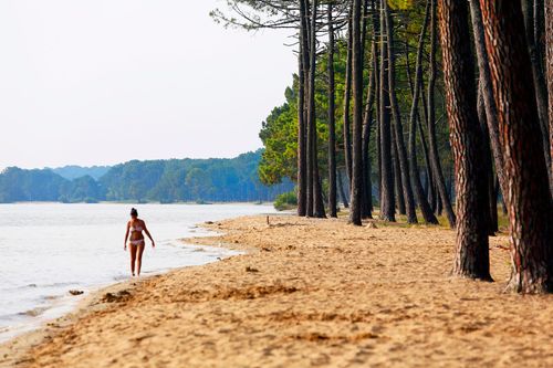 Biscarosse Landes Lac