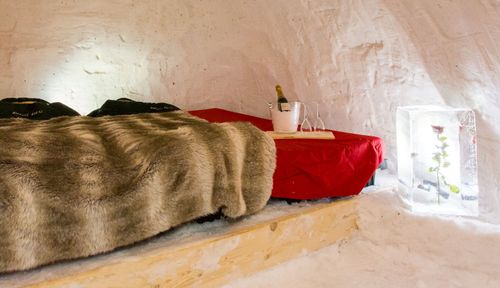 Blacksheep Igloo