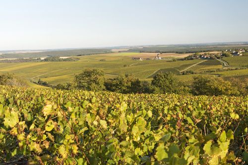 Bourgogne Prehy