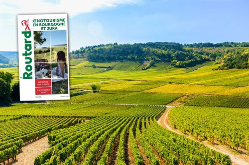Bourgogne Vignes