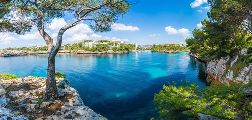Cala d'Or Cala d'Or