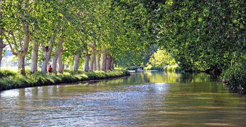 France Hérault Canal du Midi