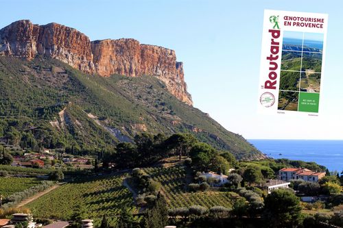 Cap Canaille - Vignobles