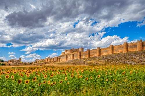 Château de Berlanga de Duero