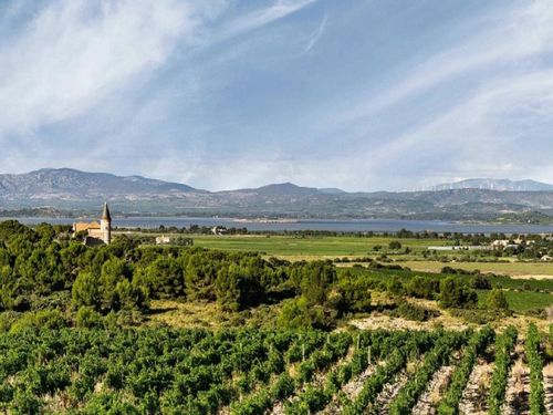 Côte du Midi : visiter les domaines des Vignerons de Garde le week-end