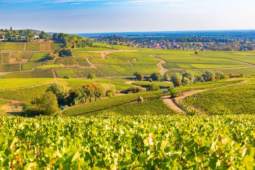 Climats de Bourgogne