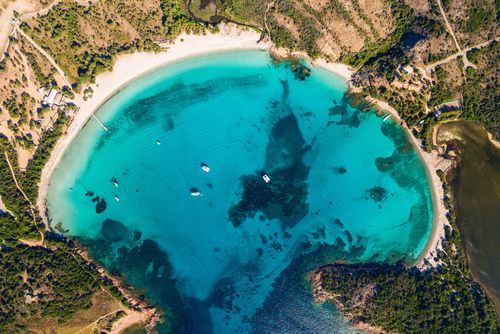 Corse Rondinara
