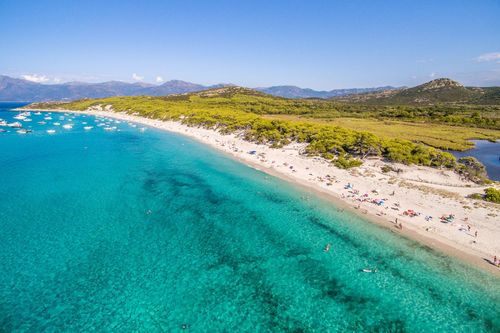 Corse Saleccia
