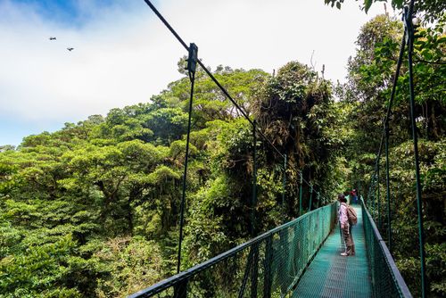 Costa Rica Monteverde Cloud forest