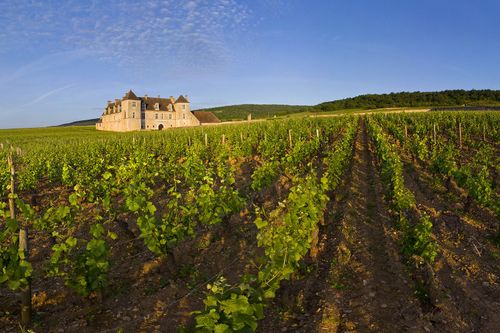 Château du Clos de Vougeot