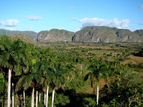 Cuba Vallée de Vinales