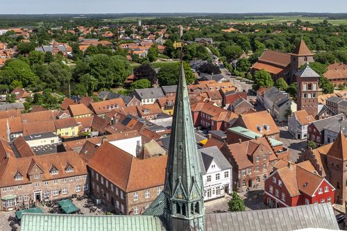 Ribe