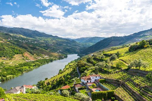 Portugal Vallée du Douro