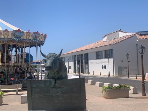 Un Espace Muséal sur la Camargue aux Saintes-Maries-de-la-Mer