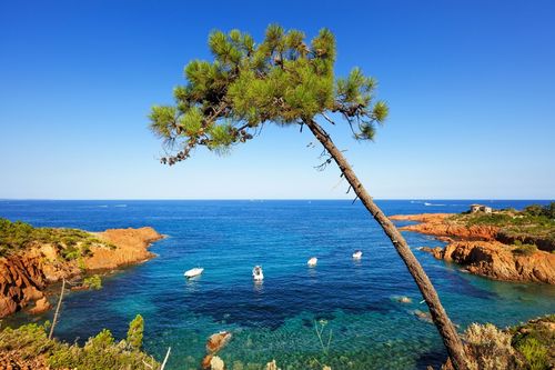 Côte d'Azur Estérel