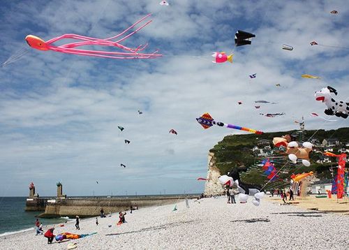 Festival des cerf-volants
