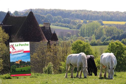 Manoir de Courboyer