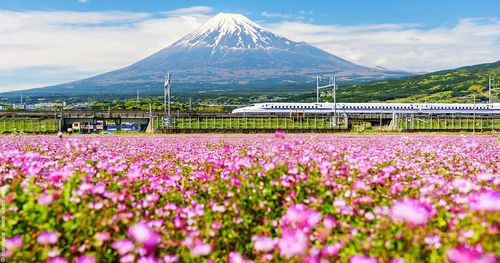 Japon Shinkansen