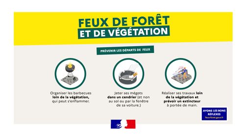 Feux de forêt : les bons réflexes pour les éviter
