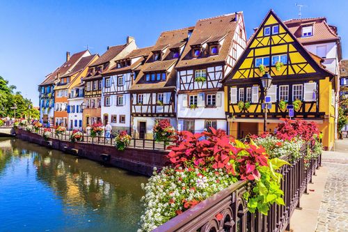 Fleurs Colmar Alsace