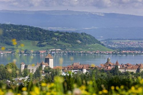 Suisse Morat