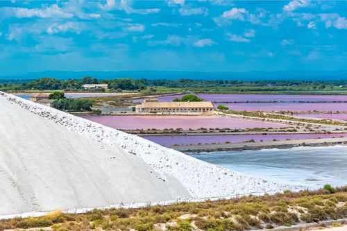 Gard Camargue Aigues Mortes Salins