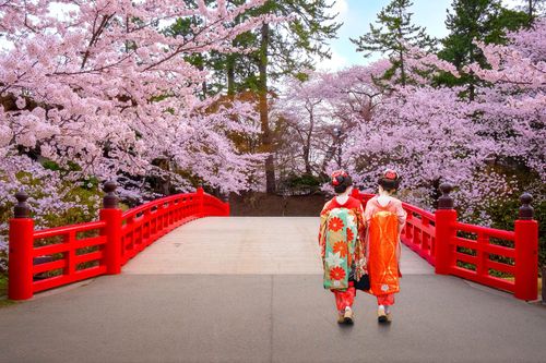 Geisha