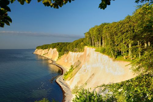 Les forêts anciennes de hêtres d’Allemagne