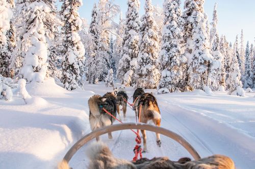 Nordic, le spécialiste de la Scandinavie