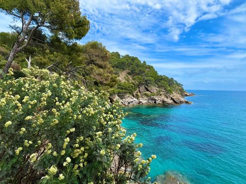 Le Jardin des Méditerranées  au Domaine du Rayol : l'invitation au voyage