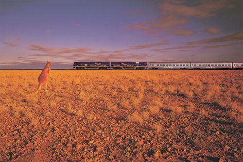 Indian Pacific Train Australie