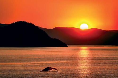 Saguenay - Lac Saint-Jean