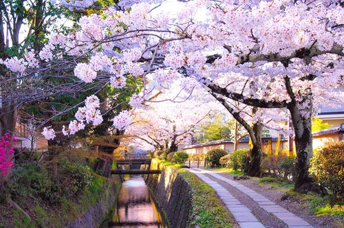 Kyoto