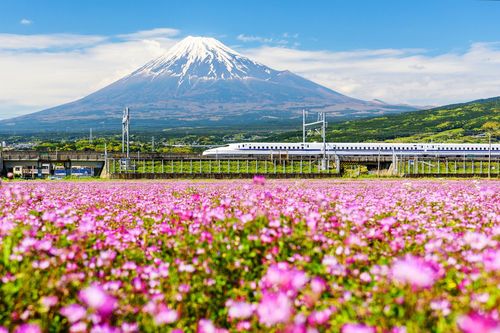 Japon Shinkansen