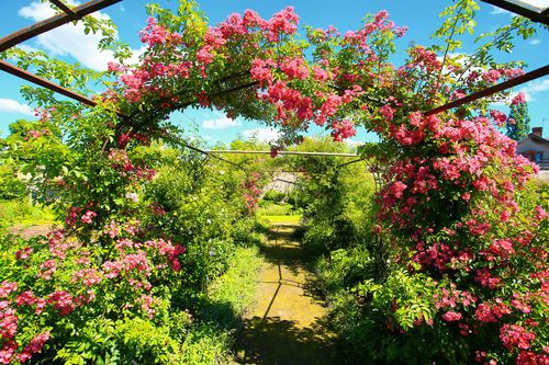 Jardin du château de la Bussière